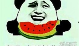 吃瓜旳意思,揭秘“吃瓜群众”背后的娱乐真相