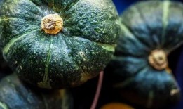 吃瓜趣事真实案例,揭秘那些令人捧腹的吃瓜趣事