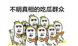 环保督察吃瓜群众,见证绿色变革的围观视角