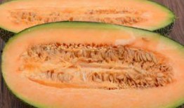 青年吃哈密瓜,青年们的哈密瓜美食之旅