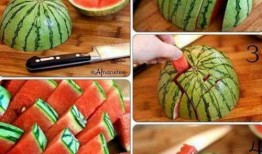 吃瓜花蝴蝶,揭秘蝴蝶界的“美食家”