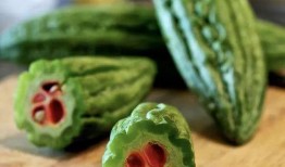 金秋天吃瓜,一场味蕾的盛宴