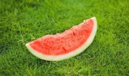 吃瓜之后舌头发麻,揭秘食物中的神秘刺激