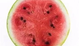 吃瓜中心吃最新的瓜