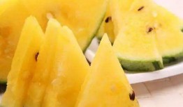 黑了su吃瓜网,揭秘娱乐圈幕后真相，带你走进明星生活