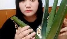 吃瓜直播竹子,竹子带你领略直播新风尚