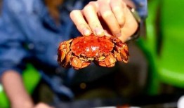 花好月圆吃瓜,一场别开生面的吃瓜盛宴