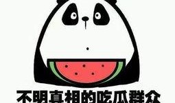 吃瓜群众的意,吃瓜群众眼中的明星幕后故事