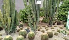 南通滨江公园吃瓜,尽享悠闲时光