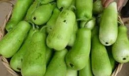 孕妇可以吃的葫芦瓜,葫芦瓜的营养与食用指南