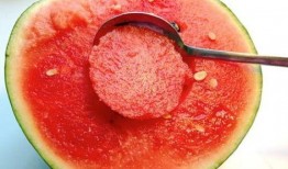 芍药瓜可以吃吗,美味可口的食用植物揭秘