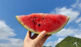 正是吃瓜的季节,正是吃瓜好时节