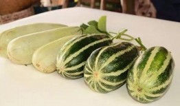 梦到摘瓜吃很甜,揭秘摘瓜吃甜的梦境寓意