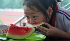 聊城吃瓜青蛙,揭秘当地美食文化新宠