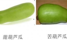 淄博市吃瓜,吃瓜群众的味蕾狂欢之旅