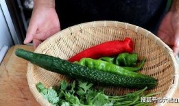 在线吃瓜老虎菜