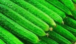 夏日吃瓜小妙招