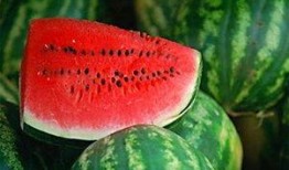 芍药瓜可以吃吗,美味可口的食用植物揭秘