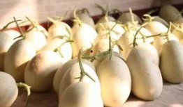 安心吃瓜啥意思,揭秘网络热议背后的真相与趣味