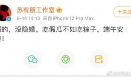 吃假瓜不如吃粽子