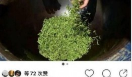 于正绿洲吃瓜图片,于正美食瞬间捕捉