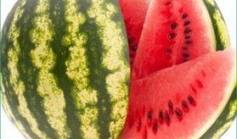 吃瓜也不老出门,揭秘出门必备攻略