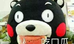 吃瓜吃到一半的瓜怎么形容