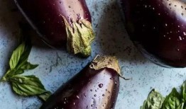 误吃生茄瓜,意外体验引发的食品安全思考