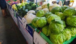 历城区吃瓜,瓜果飘香，品味民俗风情