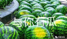 兰河吃瓜,一场别开生面的吃瓜盛宴