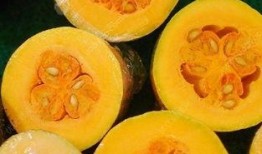 感冒了吃兰瓜,轻松应对感冒困扰