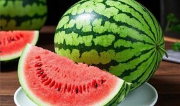 绿瓜条纹可以吃吗,能否安全食用揭秘