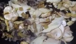 吃瓜菌组,探寻美食背后的神奇力量